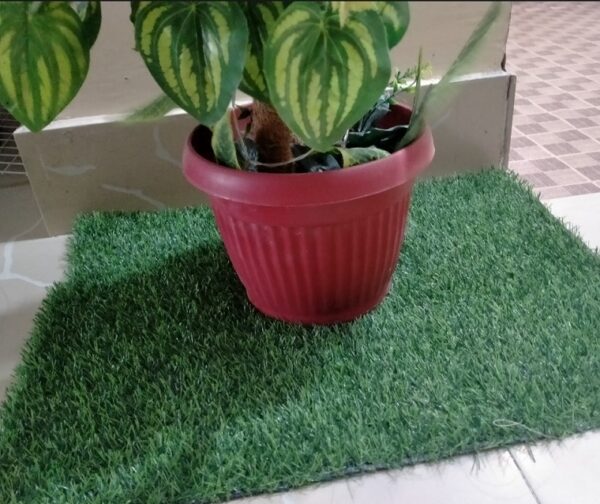 Imported Premium Artificial Grass Mat for Home & Garden - Image 2