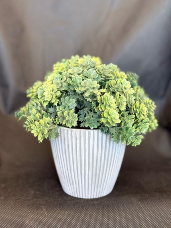 Green Bud Premium Grey Planter