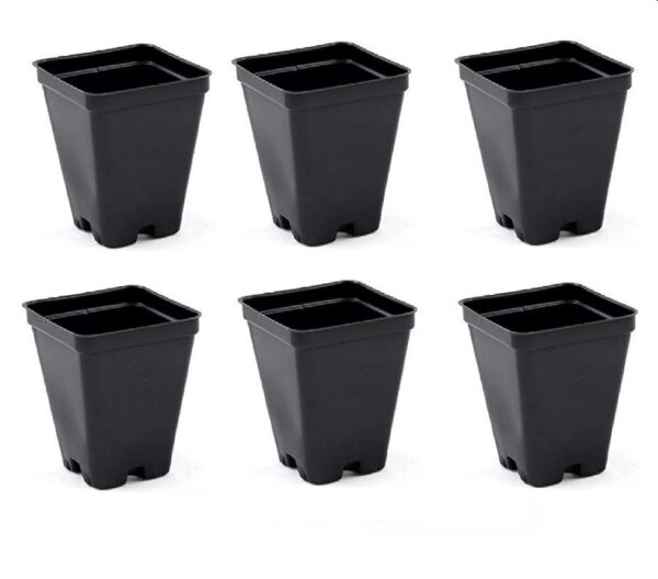 Pack of Six 5-Inch Black Pots – Durable Planters for Indoor Plants - Image 2